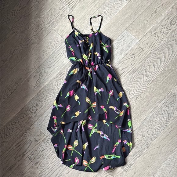 QED London Dresses & Skirts - Black Dress with Colorful Bird Print